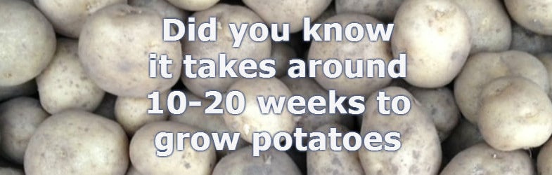 how-long-do-potatoes-take-to-grow-find-out-now