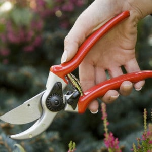 spear and jackson razorsharp professional secateurs review