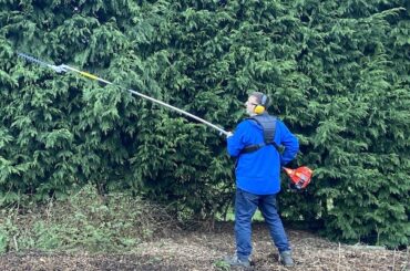 I test and compare the Best Long Reach Petrol Hedge Trimmer