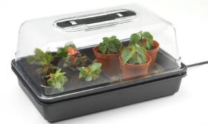 stewart essentials propagator review