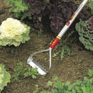 Wolf-Garten push pull weeder review