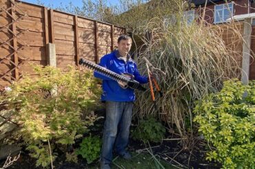 How and when to prune pampas grass