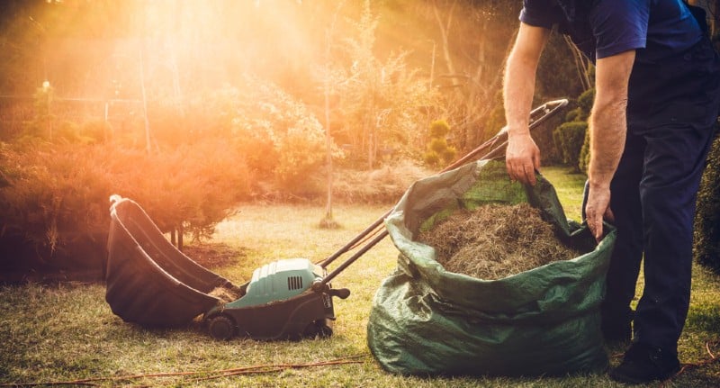 Your lawn needs food, water, and oxygen just like you do. In order to give it the circulation and are it requires you have to scarify your lawn to remove thatch, moss and remove weeds.