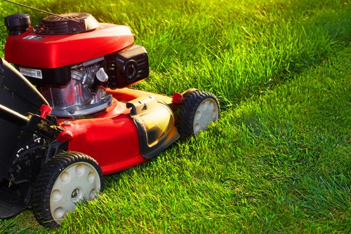 Once you decide when you are going to scarify it's time to plan ahead and make all the necessary preparations. In order to properly scarify you need your grass to be short and dry so start to bring the height down over the span of one or two weeks prior to scarifying. This will help reduce the length of the grass without shocking the grass and it will allow for increased air circulation to dry out the grass prior to scarifying.