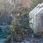 Learn how to heat a greenhouse without electricity or keep it frost free we have some tips from better insulating your greenhouse to other heater alternatives to electric