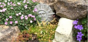 Growing and caring for alpine rockery plants