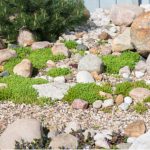 How to create and build an alpine rockery garden