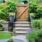 Many homes have small gardens so in this guide we look at some of the best plants for a small urban garden from perennials and shrubs to ferns, bamboo and trees