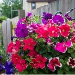 How to secure hanging baskets securely