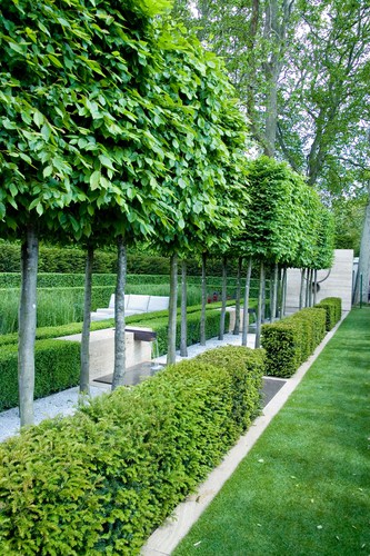 buxus-hedging-used-to-partition-garden-3 | Pyracantha.co.uk