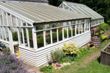 Best lean-to greenhouses and how they compare with both metal and wood models included