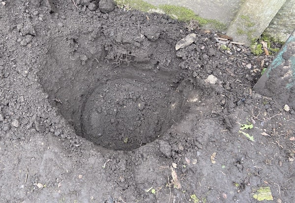Hole dug for planting tree