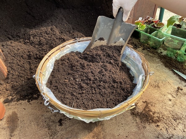 Fill basket with soil before planting summer plants
