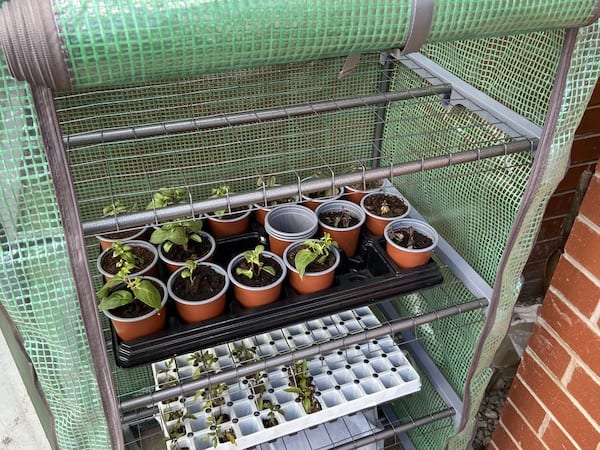 Pop up greenhouse frame and build in shelves
