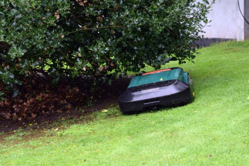 Robot lawn mower in small garden on slope lawn