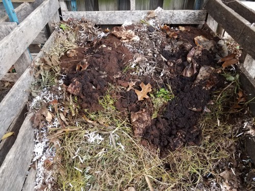 Coffee grounds added to a compost heap