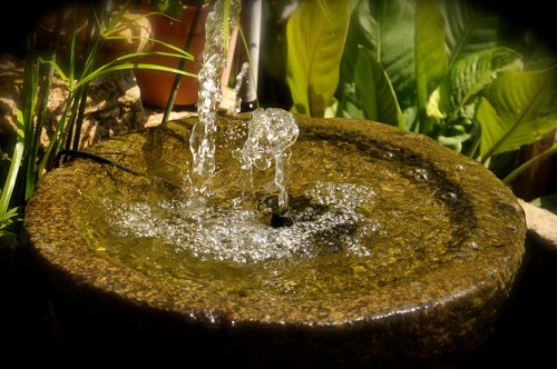 Indoor water fountain with clean water