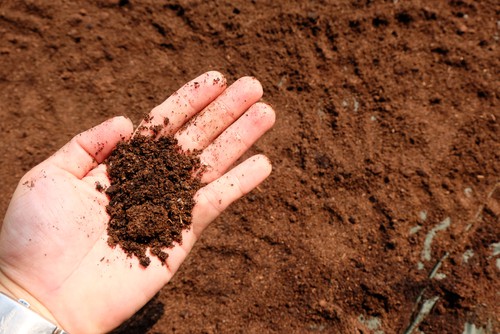 Using coffee grounds can help retain moisture in the soil