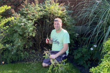 Sorbaria is also known as False Spirea can be quite invasive and suckers can be an issue. In this guide, I'm going to show you how and when to prune Sorbaria.