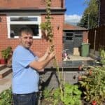 What to do with hollyhocks after flowering