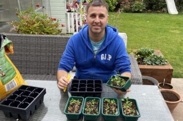 I show you how to prick out seedlings from choosing the right pots or plug trays, how to handle seedlings to putting them in a greenhouse or sunny windowsill.