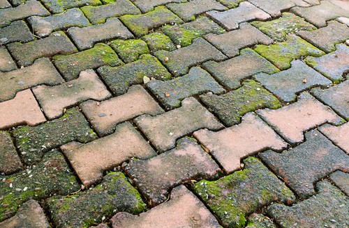 Driveway after moss killer application kills moss but not removed