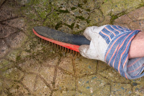 Removing moss with a wire brush