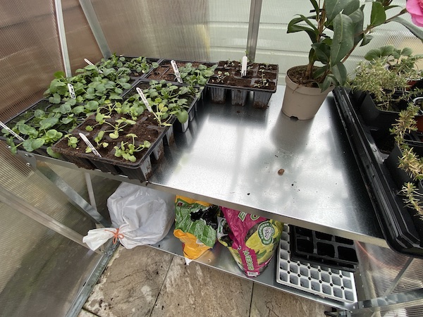 close up of Palram Greenhouse Steel Work Bench steel surface top and shelf