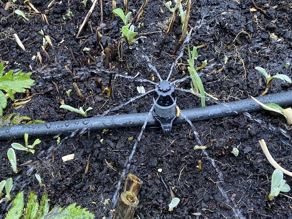 Sprinkler head can be adjusted to alter the amount of water it uses