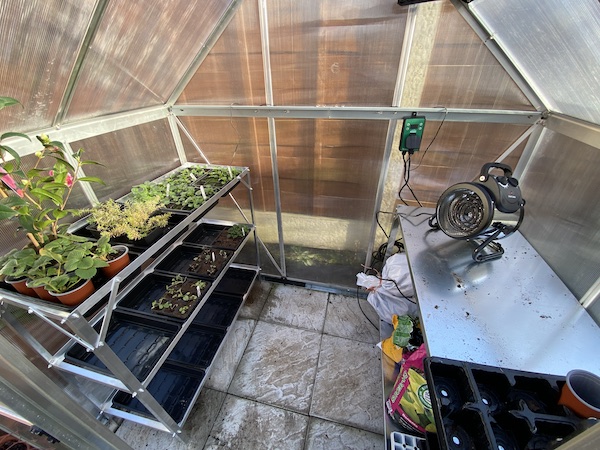 The  Palmram Steel Greenhouse Bench on the right and the Tibshelf Garden Products Greenhouse Staging on the left - both excellent examples of quality greenhouse staging