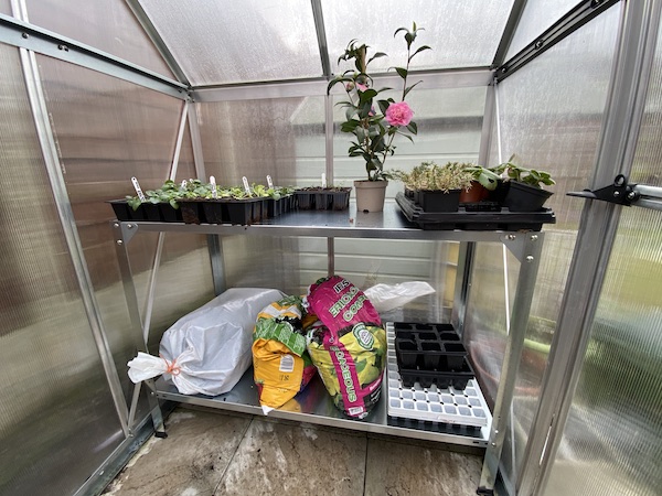 Palram Greenhouse Steel Work Bench in my personal greenhouse