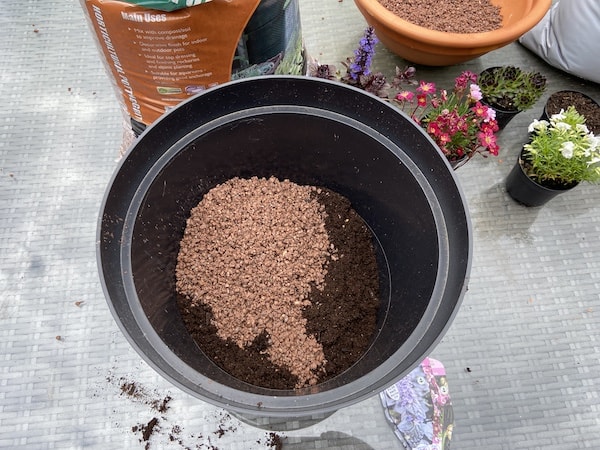 Mix multi purpose compost with grit 50/50 to ensure the compost is free draining