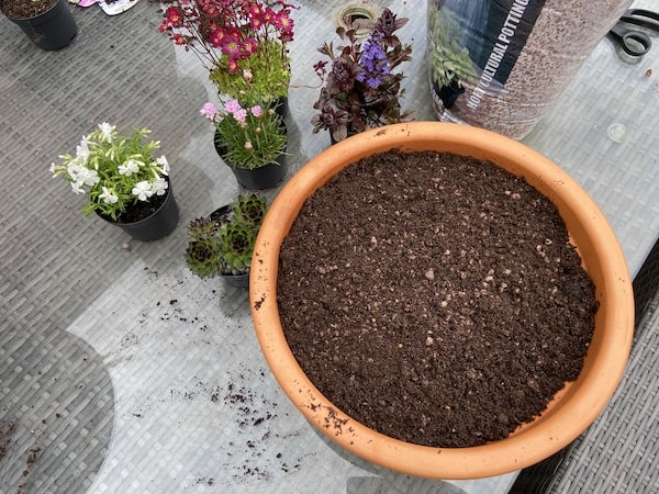 Filling shallow rockery planter with a mix of 50% compost and 50% grit