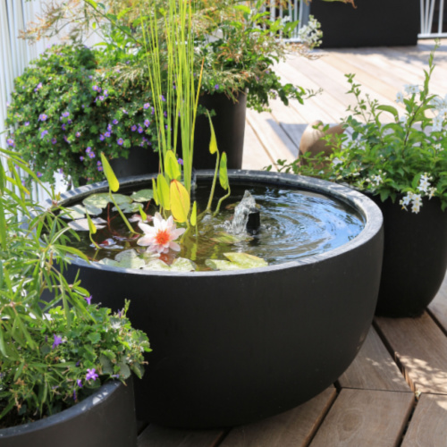 Fountain installed in small raised pond to aerate the water