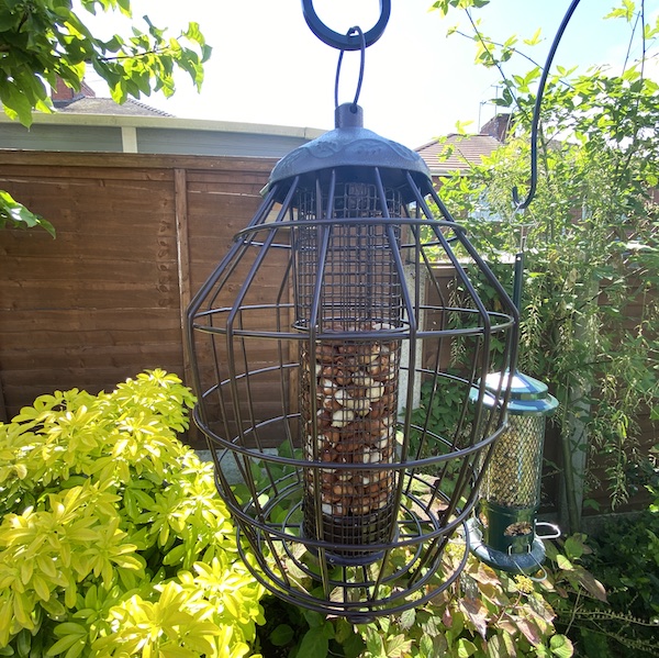 Peckish Secret Garden Squirrel Proof Peanut Bird Feeder is probably one of the best squirrel proof bird feeders to fill with peanuts