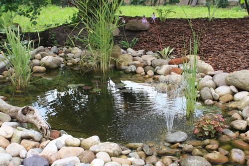 Small pond fountain