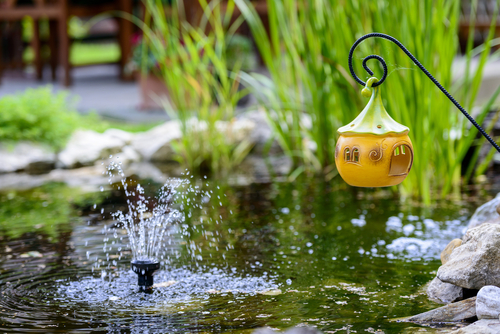 Testing small pond fountain in pond