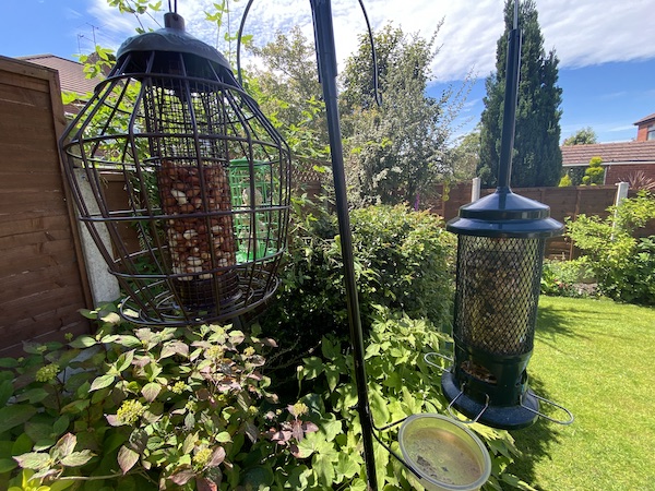 Two of the best squirrel bird feeders for seed and peanuts as tested my myself