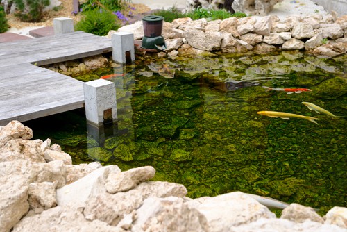 pond UV purifier to keep the water clear and algae free