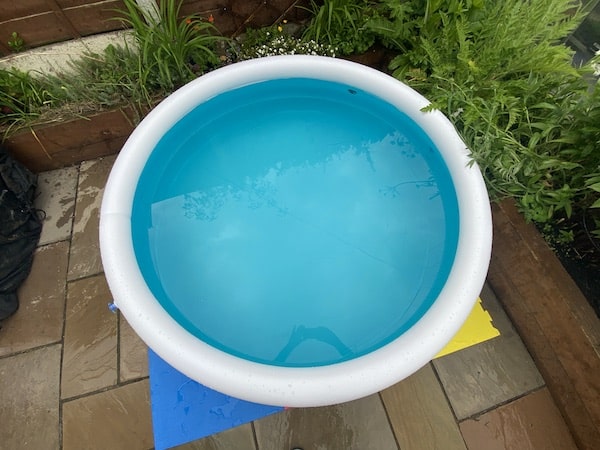 Intex 6ft pool from above