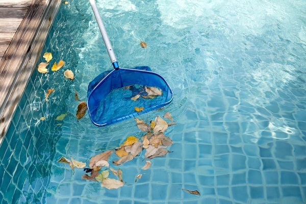 Pool skimmer nets are affordable and make cleaning the surface of the pool easy